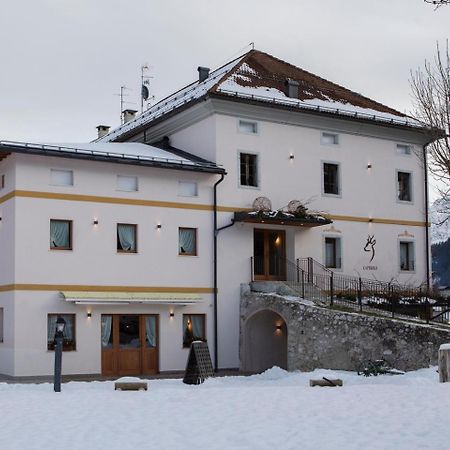 Al Capriolo Otel Vodo Cadore Dış mekan fotoğraf