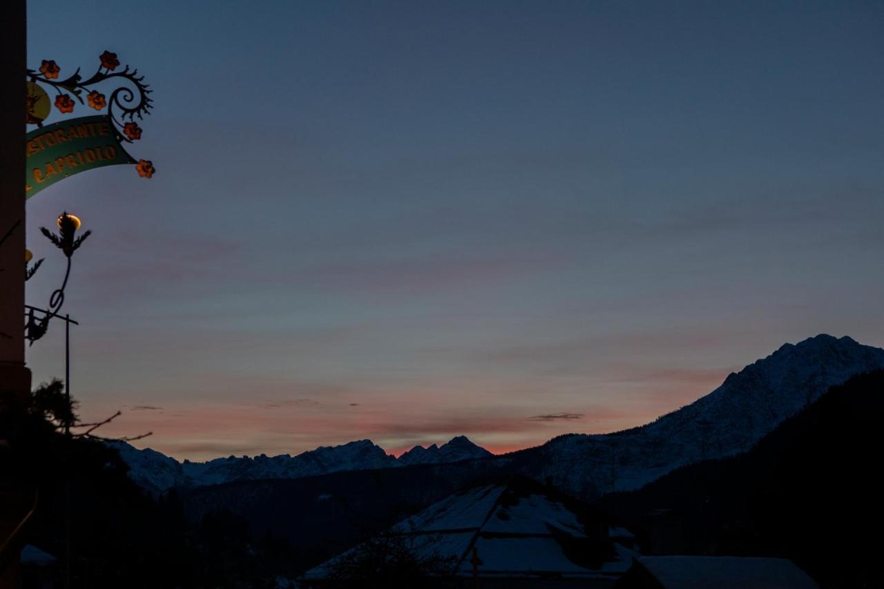 Al Capriolo Otel Vodo Cadore Dış mekan fotoğraf