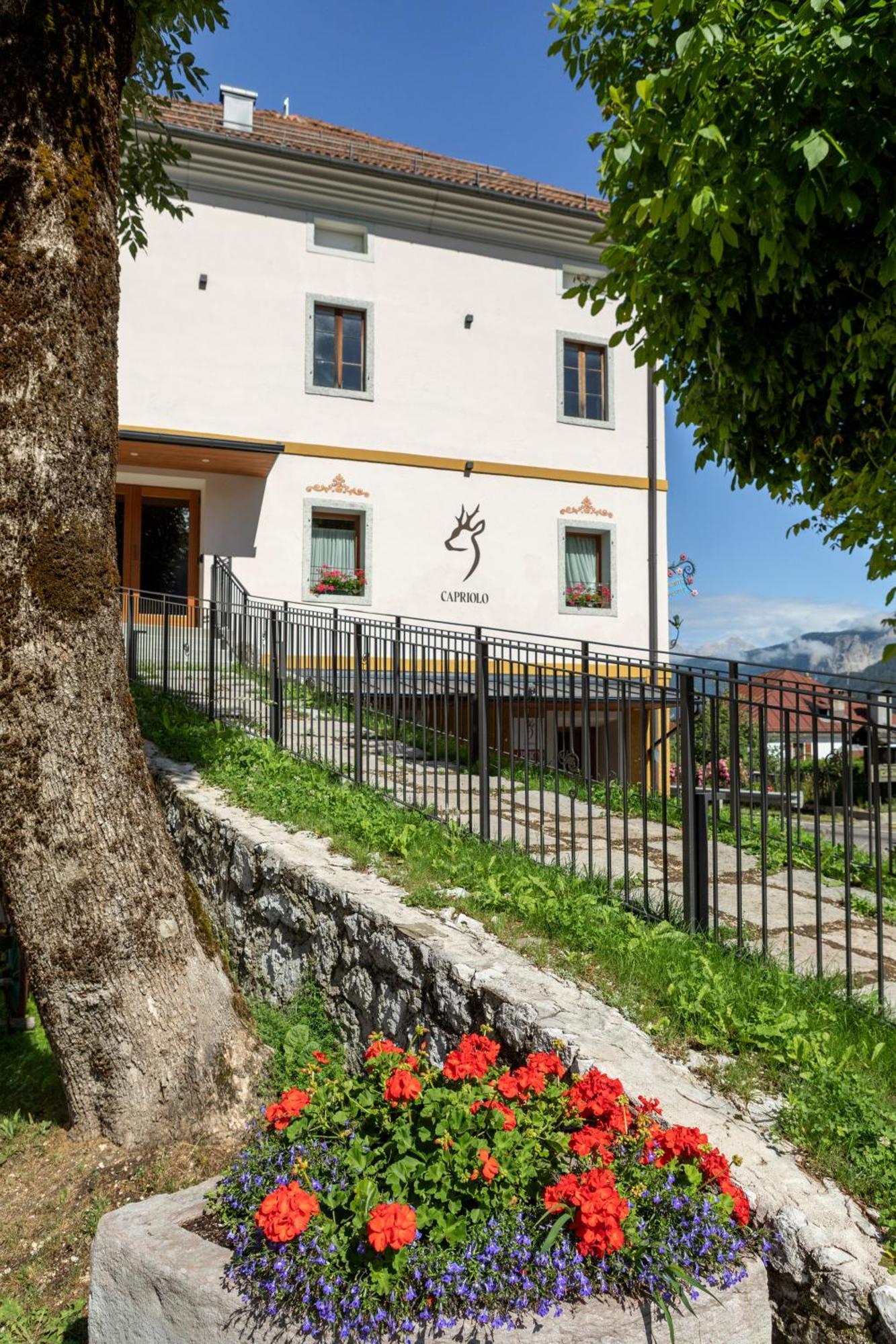 Al Capriolo Otel Vodo Cadore Dış mekan fotoğraf